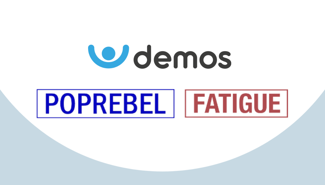 DEMOS Builds Synergies With POPREBEL Project